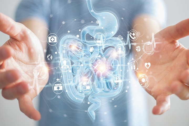 Utilize para ver mais