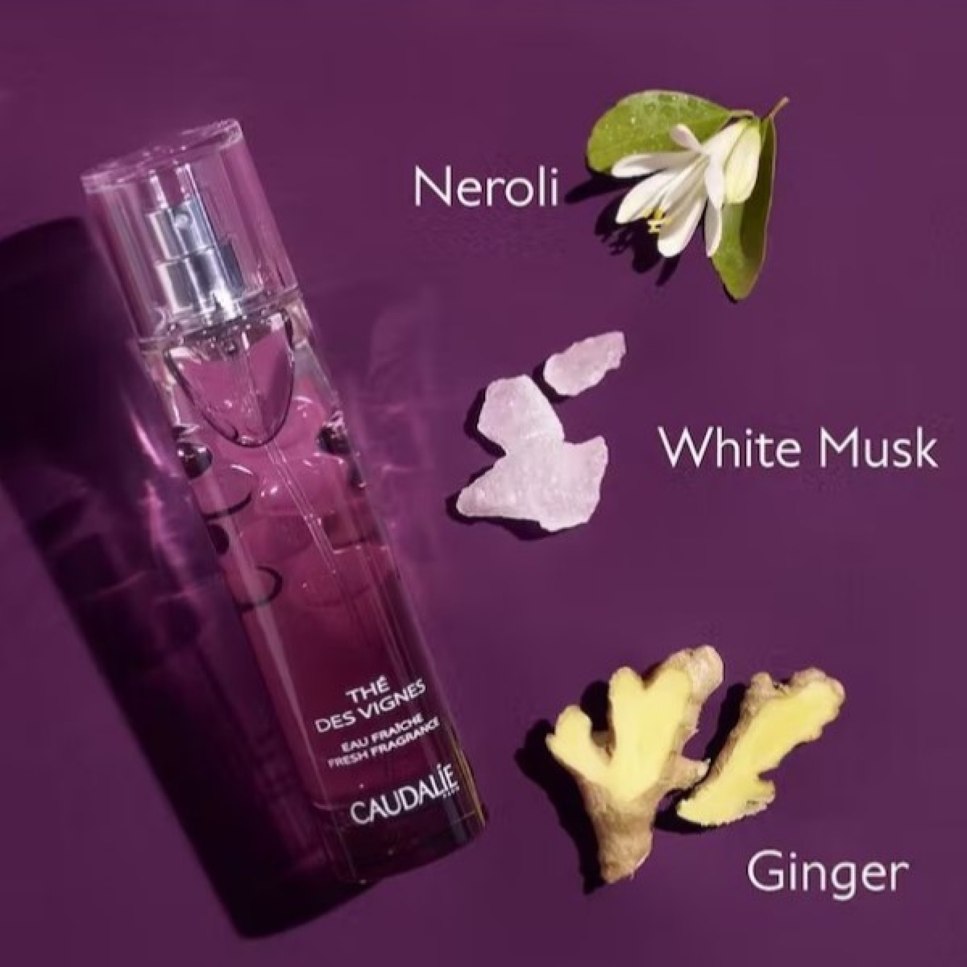 Caudalie Eau Fraîche Thé des Vignes 100ml
