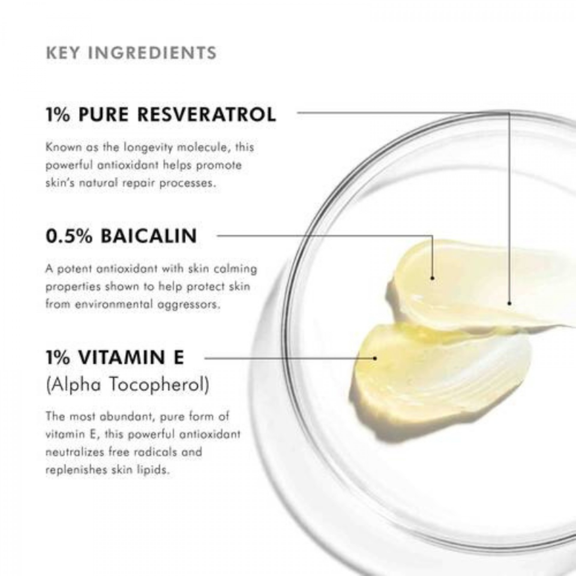 SkinCeuticals Prevent Resveratrol B E Siero Antiossidante Notte 30ml